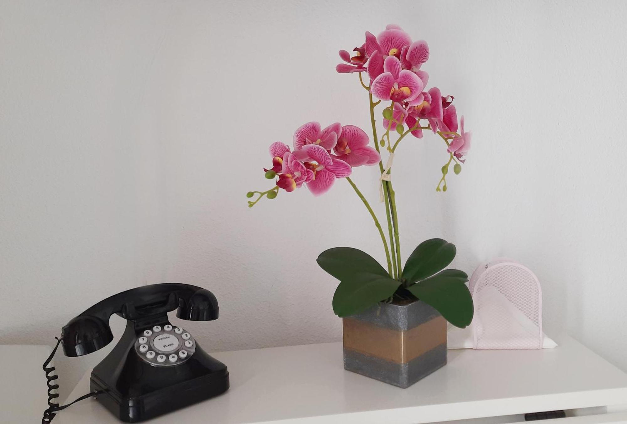 Lovely Center Apartments - Sunny Balcony Alfalfa Seville Ngoại thất bức ảnh
